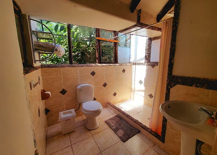 Yoga Retreat Hotel 3*