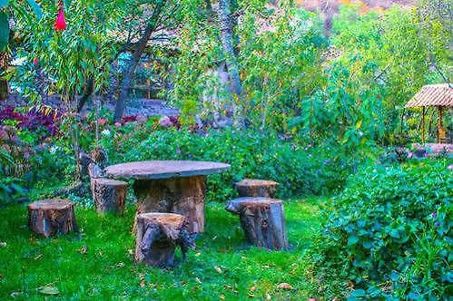 Yoga Retreat Hotel 3*
